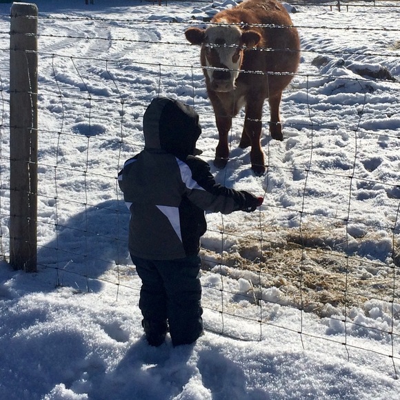 Fall and Winter Coat - Picture 9 of 11